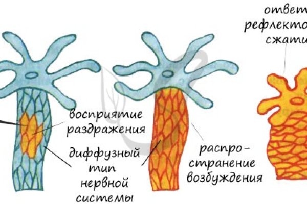 Блэк спрут и другие площадки