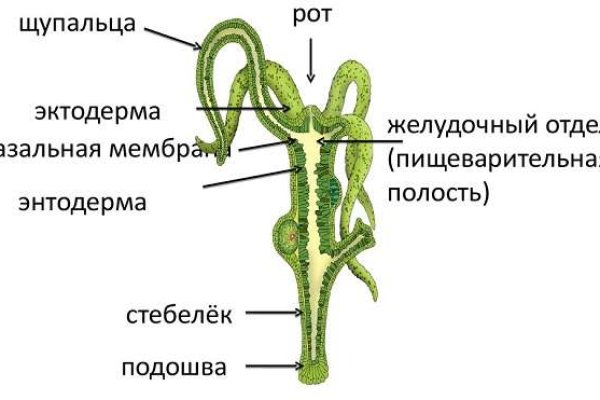 Сайт блэк спрут