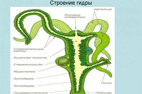 Блэк спрут зеркало blacksprut adress com