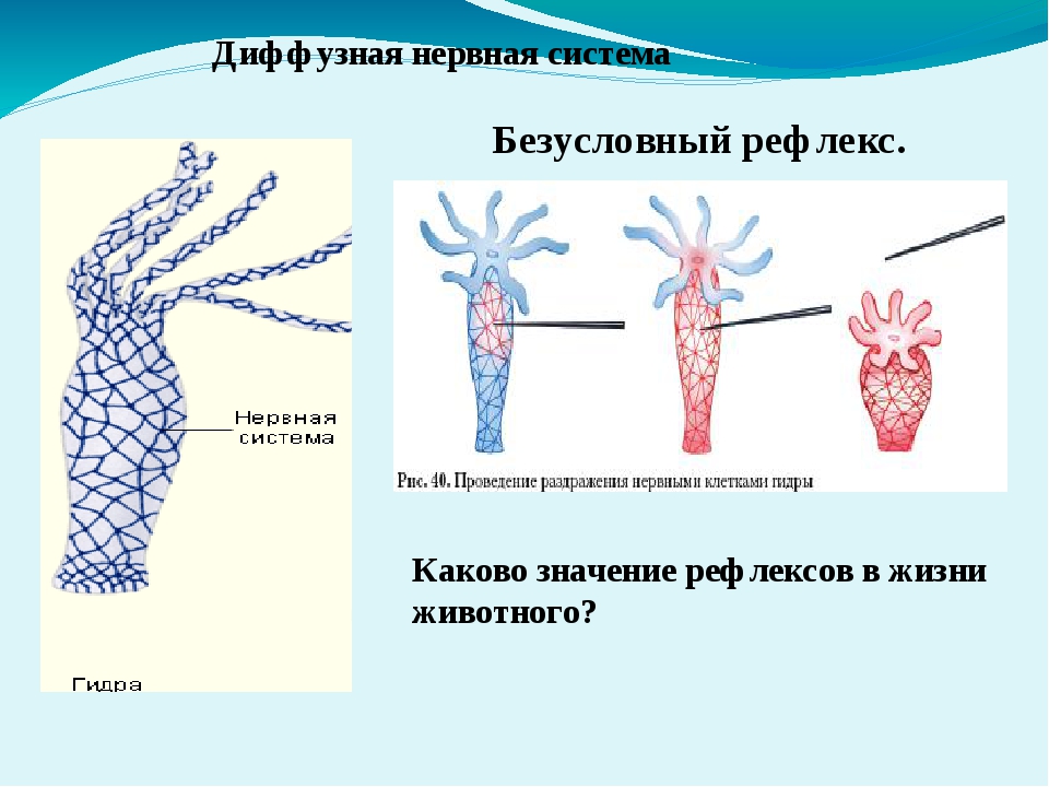 Блэкспрут ссылка bs2webes net