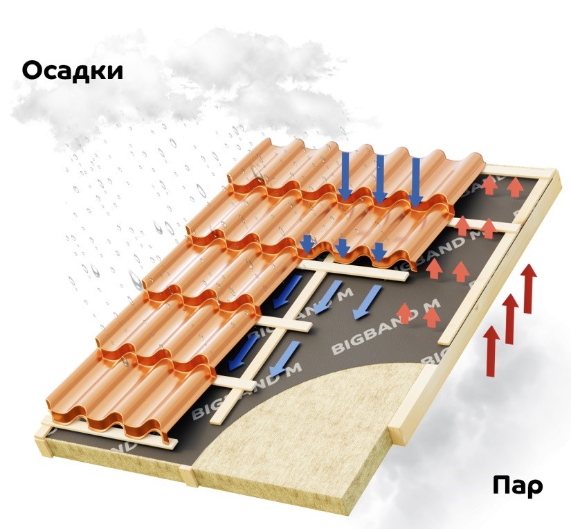 Блэк спрут bs2webs top